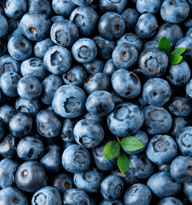 yummy blueberries
